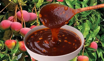Mango Jam chatni ranipokhari rishikesh dehradun